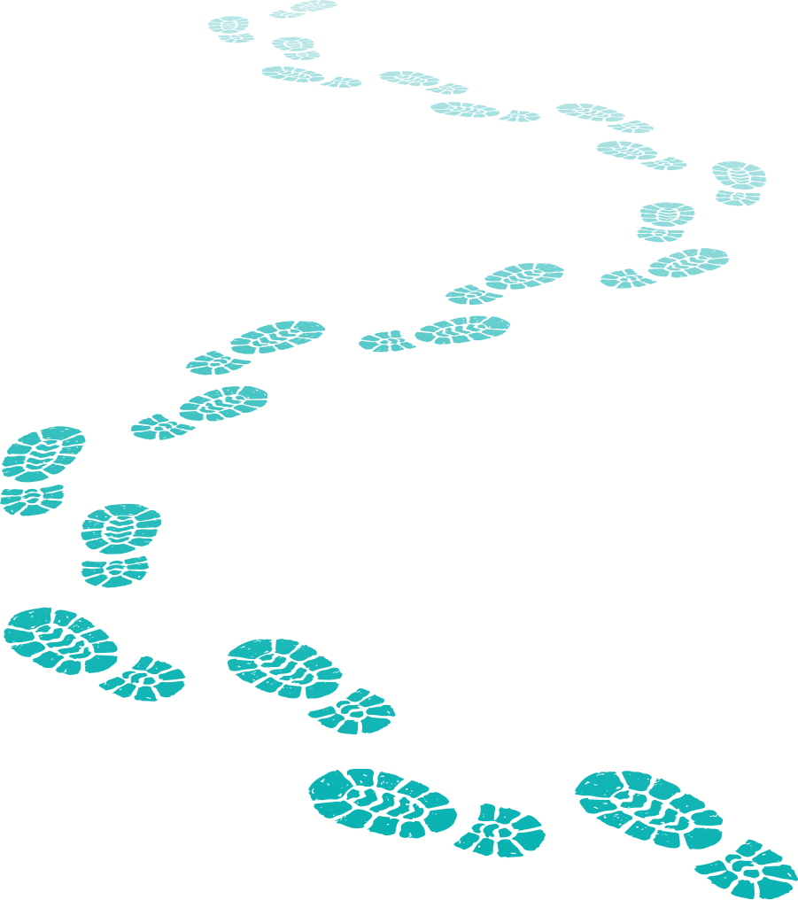 John Scott Sole Focus Project